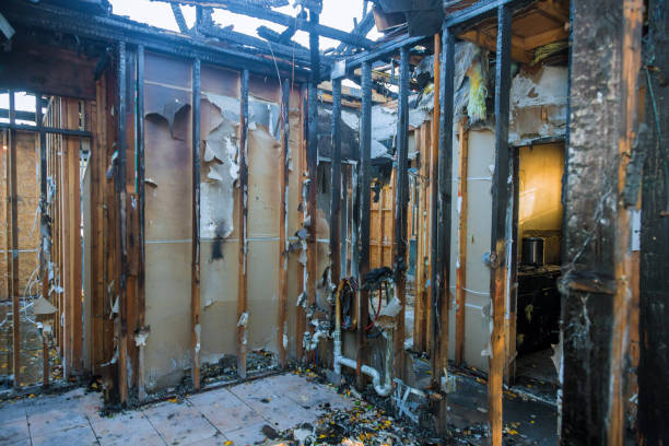 Professional Fire Damage Removal technician working in Middleburg, FL