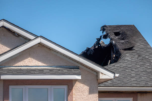 Top rated local Fire Damage Removal specialists in Middleburg, FL